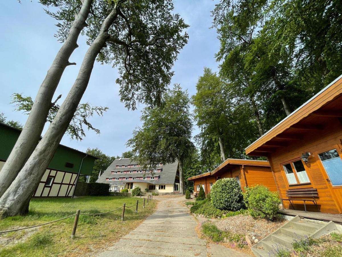 ホテル Forsthaus Langenberg ゼーバート・ヘリングスドルフ エクステリア 写真